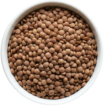 Lentils (Masoor Dal Whole)