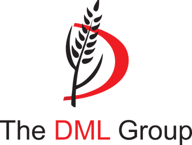 DML Group Logo